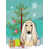 Beige Afghan Hound