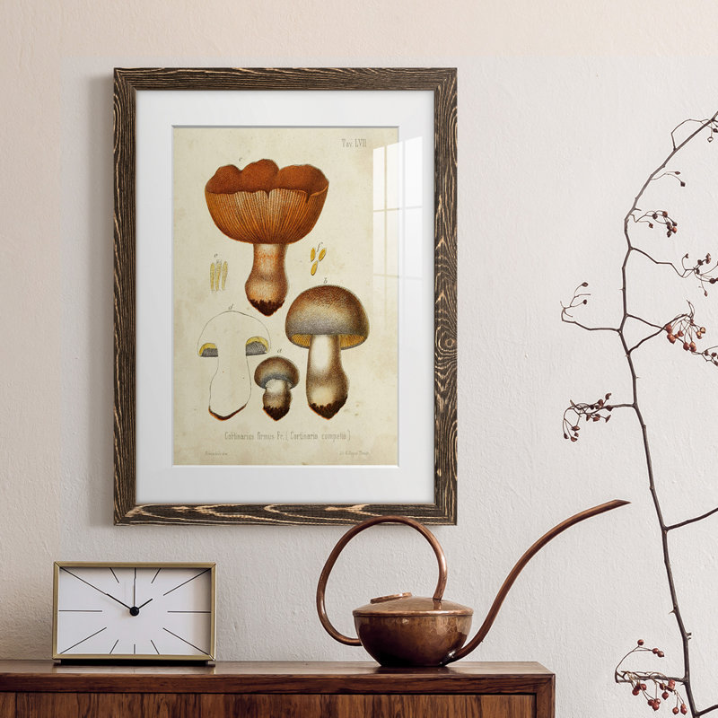 Champignon Variétés I encadré mat - prêt à accrocher, Noyer, H 38 po x l 28 po x P 1 po