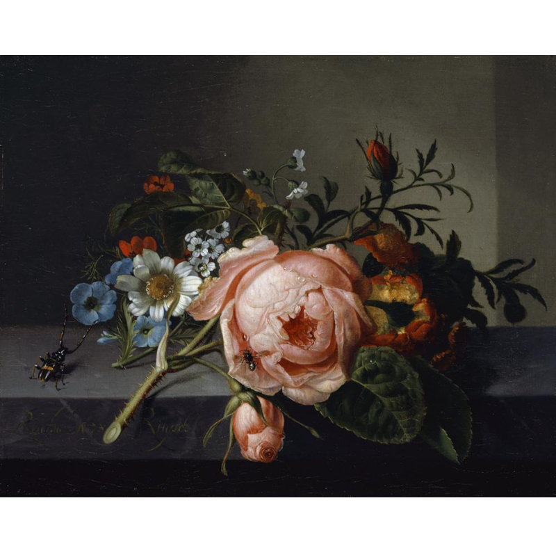 «Still Life with Rose Branch, Beetle and Bee» par Rachel Ruysch, reproduction d'art sur toile tendue avec châssis