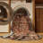 Machine Washable Persian Brown Area Rug-468600218