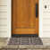 Amarien Southwestern Indoor/Outdoor Area Rug