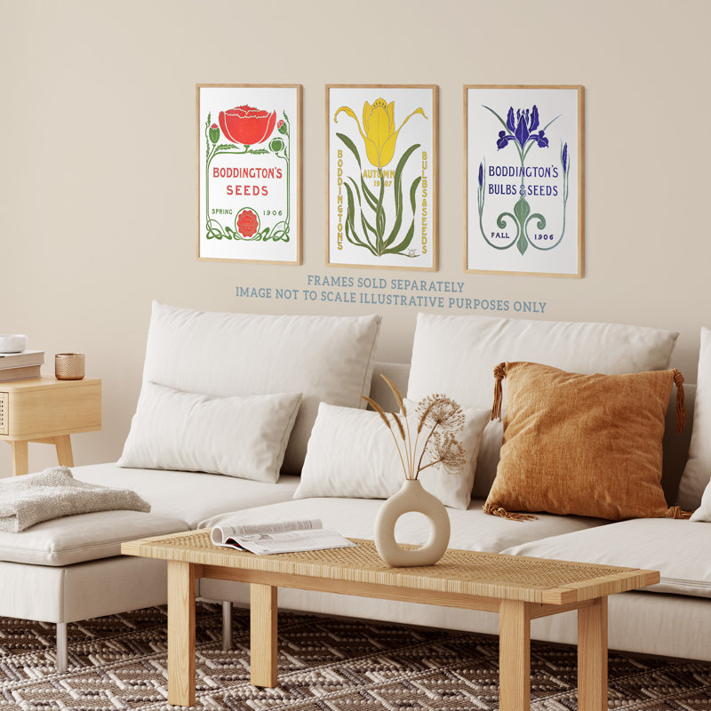 Boddington Bulbs Seeds 1906 Yellow Red Blue Vintage Ad 3 Piece Wall Art, 29.7cm H x 21cm W x 0.4cm D