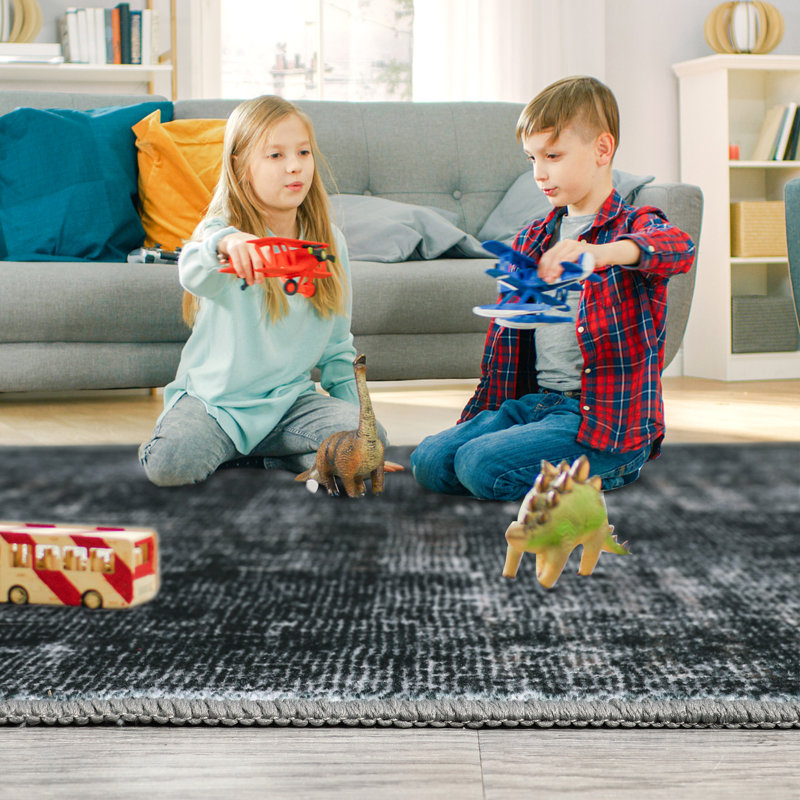 Edgardo Machine Washable Rug for Living Room Bedroom Non-Slip Area Rugs Foldable Rugs for Playroom Office Kitchen Dinning Room Entryway