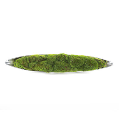 Faux Moss in Metal Boat Tray