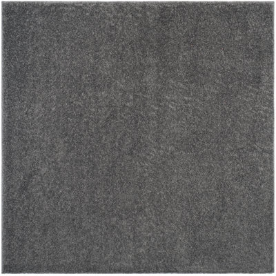 Bertjan Dark Grey Area Rug