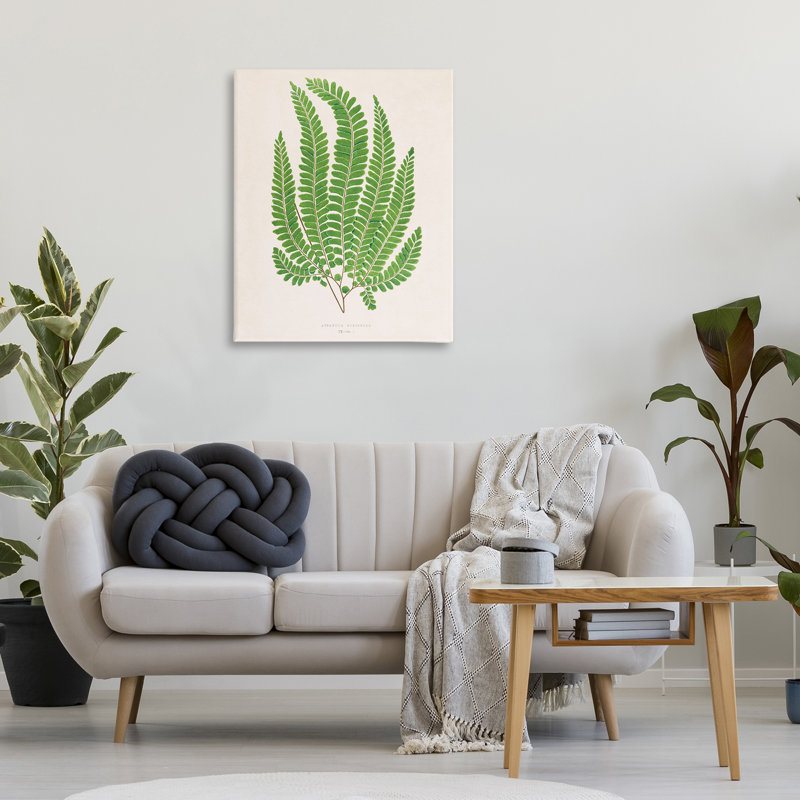 «Cottage Ferns Study Canvas», conception par Phillipa Katz, H 40 po x l 30 po