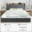 Modern Upholstered Bed With Charging Station & Storage Drawers, Velvet Wingback Headboard,Queen/Full/King Size-2091463790-2091463781