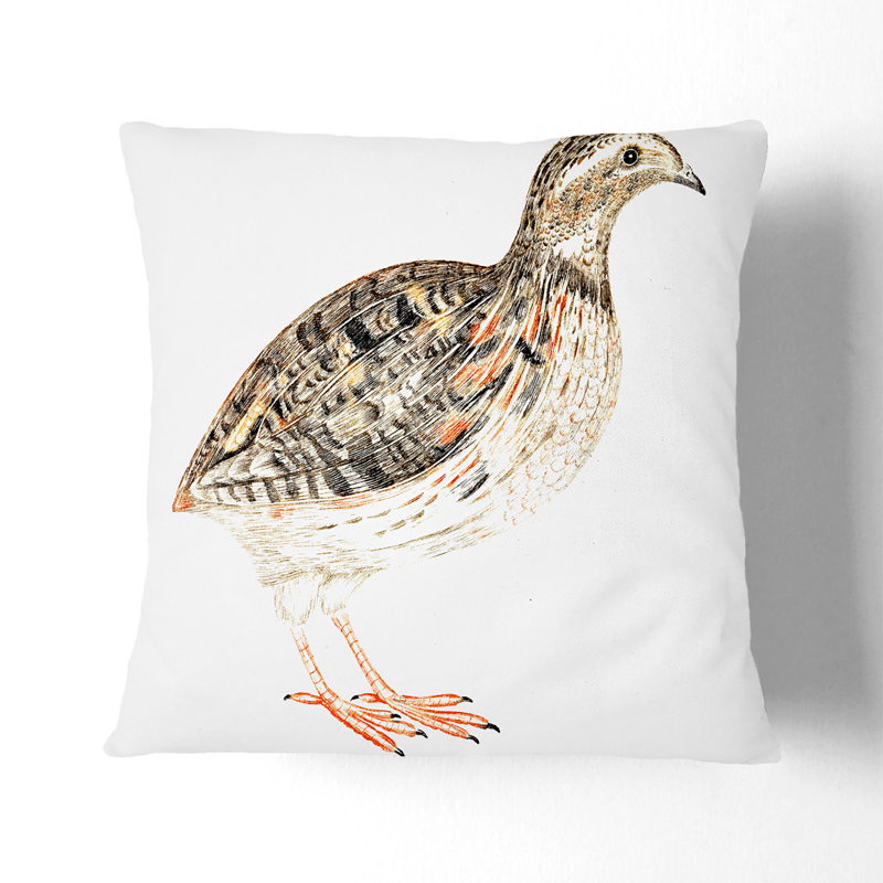 Square Throw Cushion, 55 x 55 cm