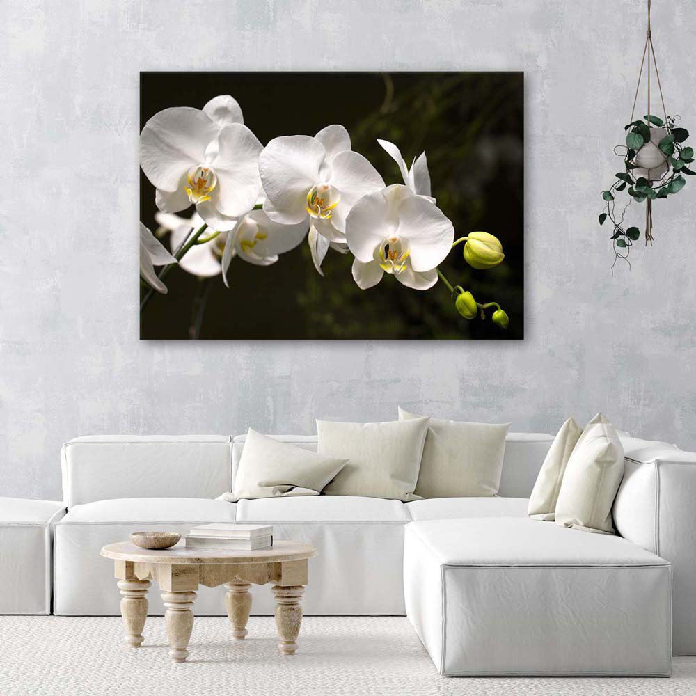 Leinwandbild Orchid Flower White