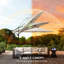 295cm Parasol-1190746391