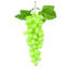 Grappe de raisin Grasmere-29363610-29691937