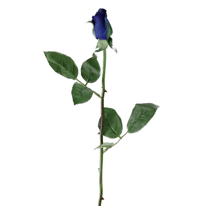 Rose Arrangement