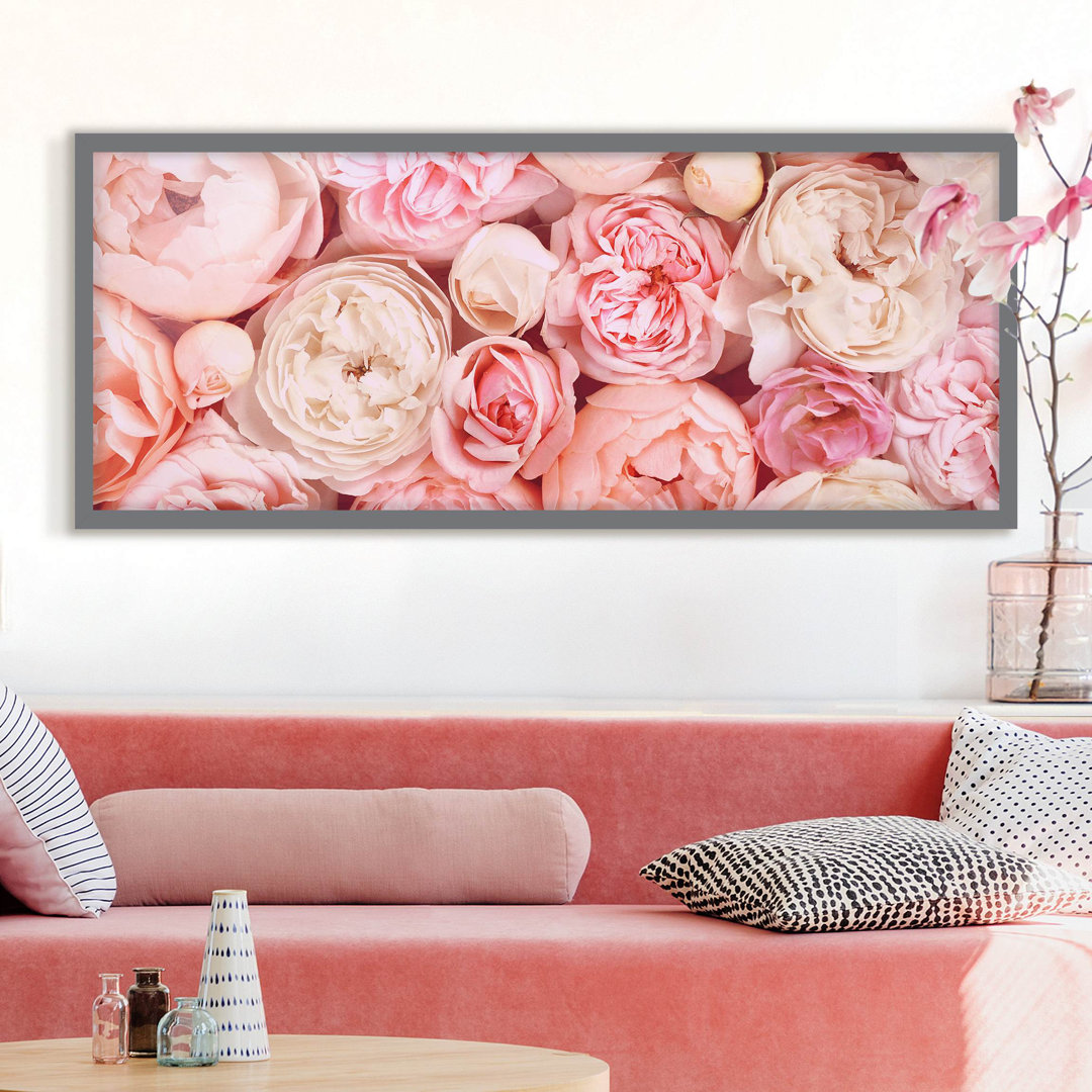 Gerahmtes Poster Rosé Coral Shabby