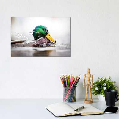 The Veil by Mateusz Piesiak - Wrapped Canvas Print