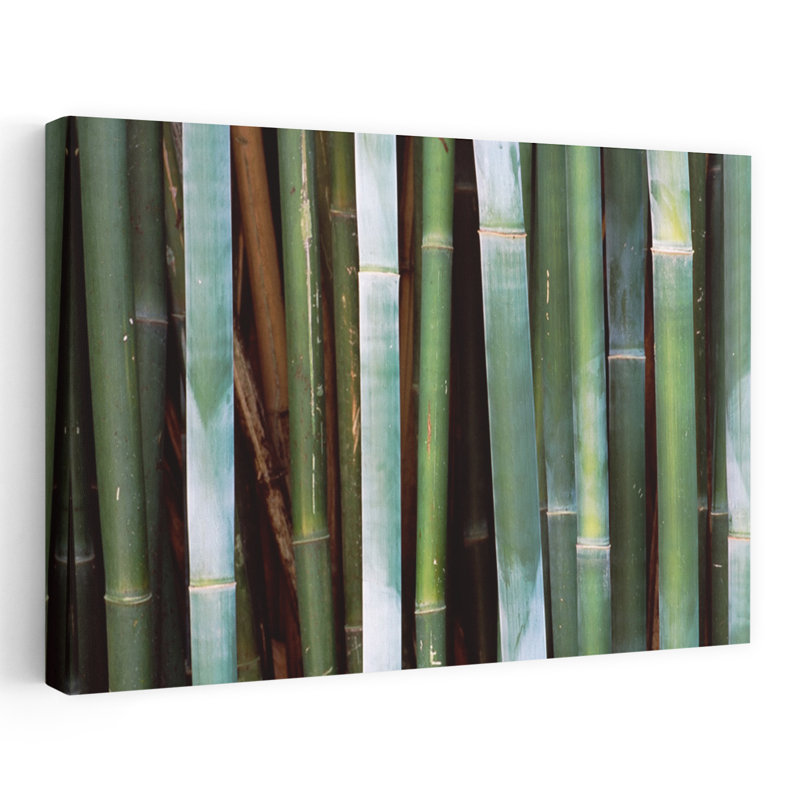 Gros plan sur des bambous, art contemporain de paysage de forêt de bambou, H 16 po x l 24 po