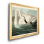 Trumpeter Swan - reproduction d'art sur toile-1014097681-1014097683