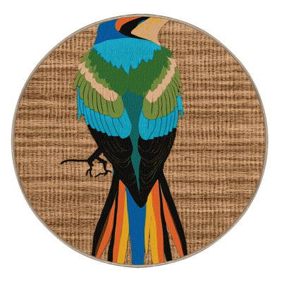 Washable Rainbow Bee eater Birds Area Rug