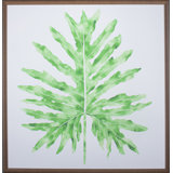 Selloum Verde Print by Jenny Kiker