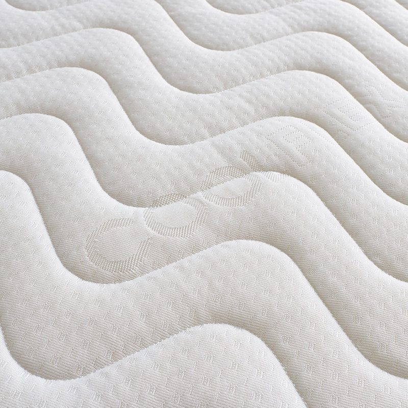 Wayfair Sleep Foam Mattress, Small Single (2'6)