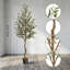 180cm Plant