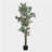 69" Artificial Ficus Tree with Black Plastic Pot