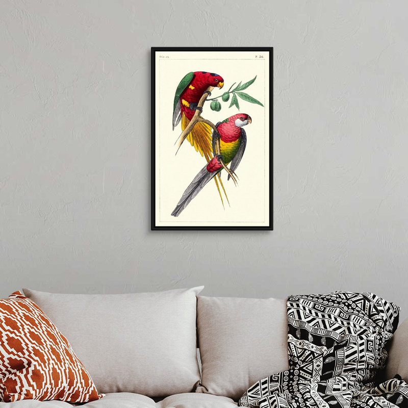 Art mural sur toile Lemaire Parrots III, Toile encadrée noire, H 32 po x l 22 po x P 2 po