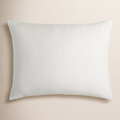 Felix Cotton Pillow Sham