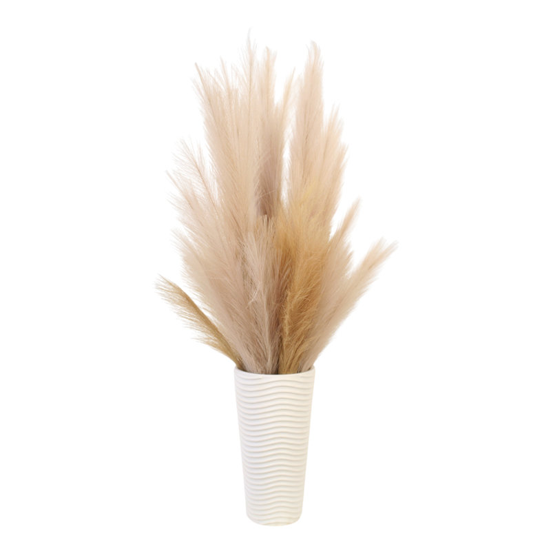 Pampus dans un vase blanc crème