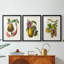Fruit of the Tropics I - reproduction sur mesure encadrée de qualité supérieure - 3 pièces-468485404-468485406