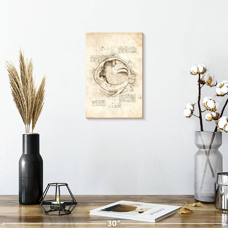 Keiri Human Eye Anatomy, 12" H x 8" W
