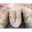 Tapis oriental Kingston Kingston-40281640