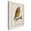 Maddock French Owls II-88378310-88378309