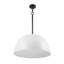 Luminaire suspendu à 1 lumière Reannon