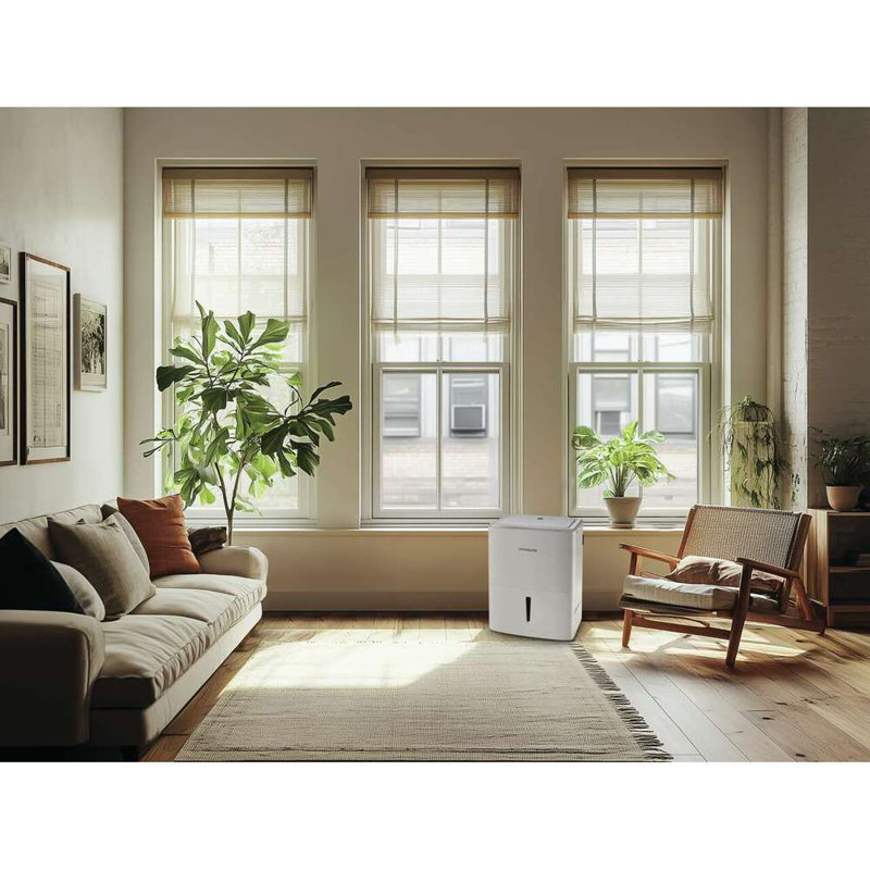 Frigidaire Pint Dehumidifier, 22