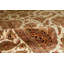 Crown Wool Oriental Area Rug