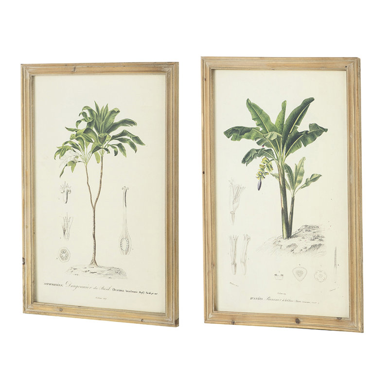 Framed Tree Print Pair, 15.5x23.5", Enhancing Transitional Decor With Rectangular Brown Frames And Landscape Images Duet, Elevating Interior Brown Illustrations