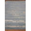 Area Rug in Gray-63579896