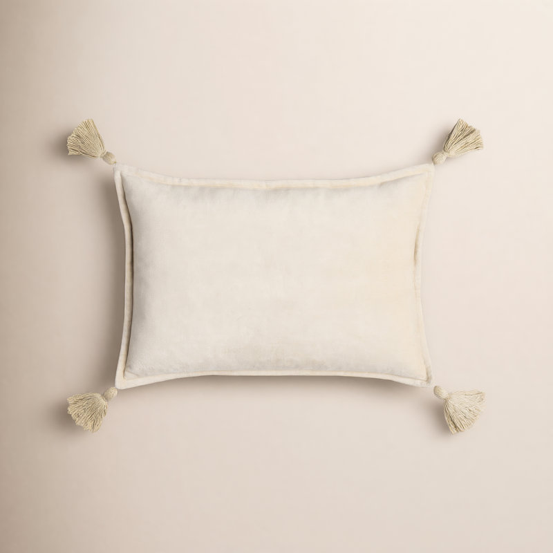 Norwin Tassels Cotton Throw Pillow, Beige, Polyester/Polyfill