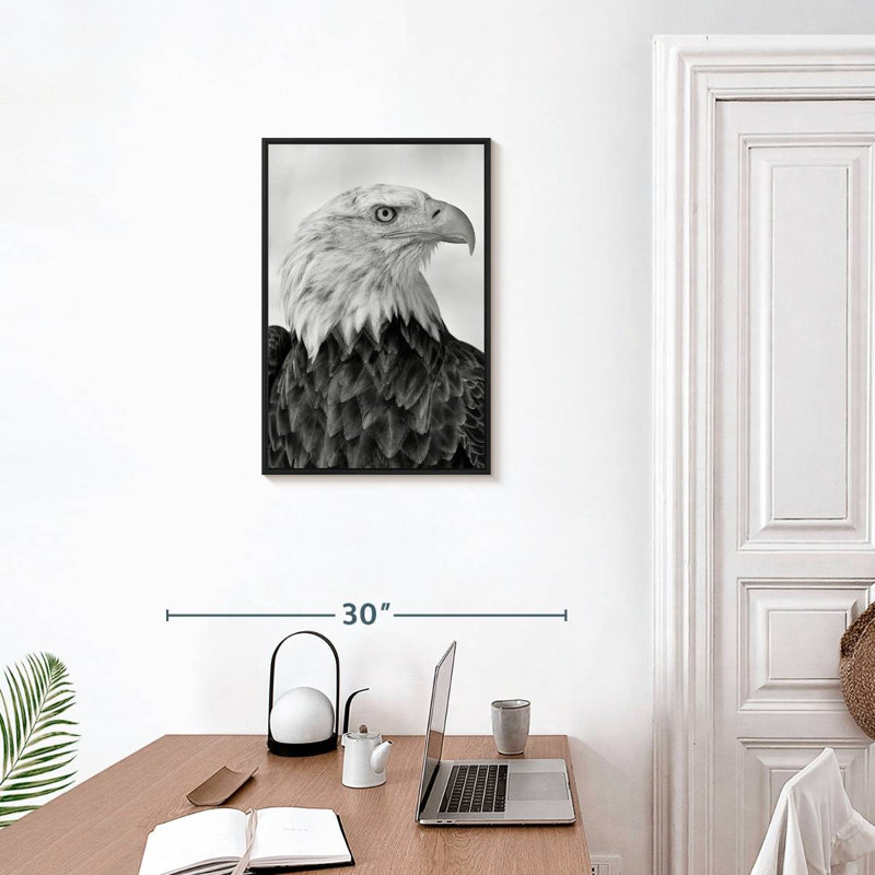 Fierce Looking Eagle, Floating Frame Black, 17" X 25"