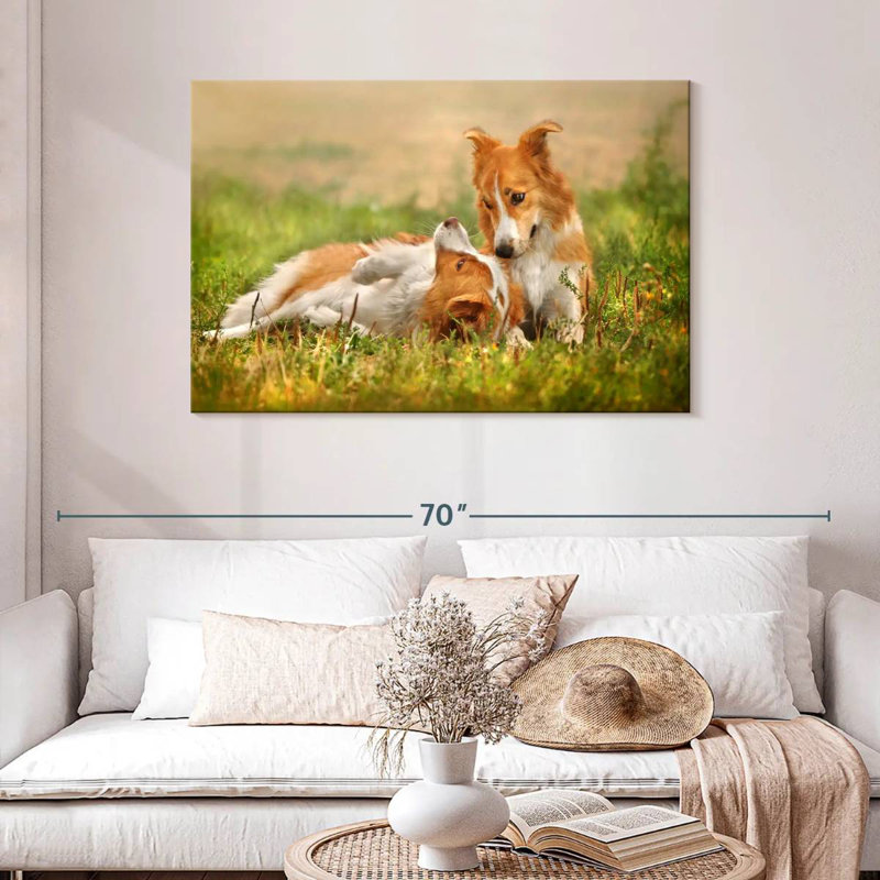 Brampt Border Collie Playtime, 30" H x 45" W