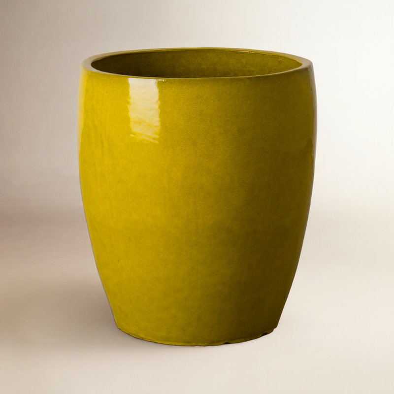Pot à fleurs en céramique Polygala, H 21 po x l 18 po x p 18 po, Jaune moutarde