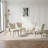 Daina Modern Kitchen Dining Chairs, Upholstered Dining Chairs, Conference Chairs (4 Chairs)-818197632-843126819
