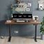 Dionysius Electric Height Adjustable Standing Desk-487463095-487463096-532283478