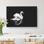 Swan - Wrapped Canvas-56640523