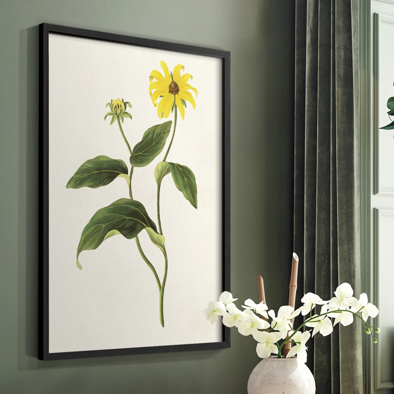 «Flowers of the Seasons», reproduction encadrée en bois massif, H 20 po x l 16 po, Noir