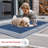 Alegre Bordered Indoor/Outdoor Rug-1420395030-1440001692