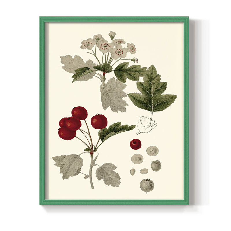 Feuilles et baies III, reproduction encadrée - bois massif, Vert, H 30 po x l 24 po