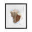 Reproduction sous verre Honeybloom Coastal Conch, conception par Matthew Piotrowicz-449737653-449737655
