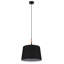 Alyus 1 - Light Matte Black Pendant