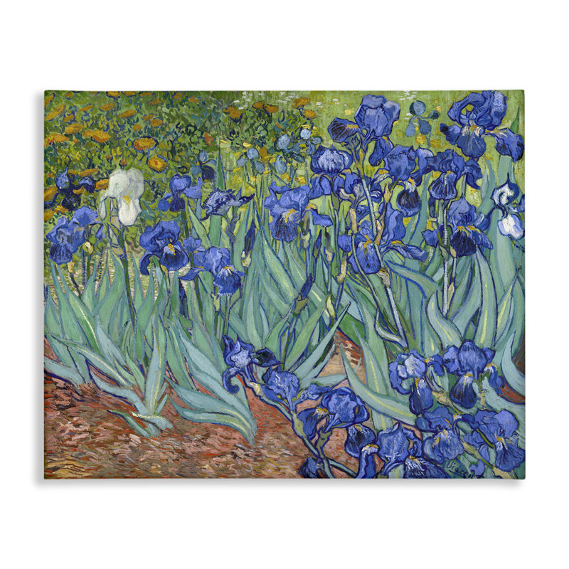 Art mural classique sur toile Iris de Van Gogh par one1000paintings, H 16 po x l 20 po